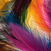 descargar wallpaper abstracto